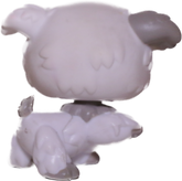 #0203 Poodle Puppy